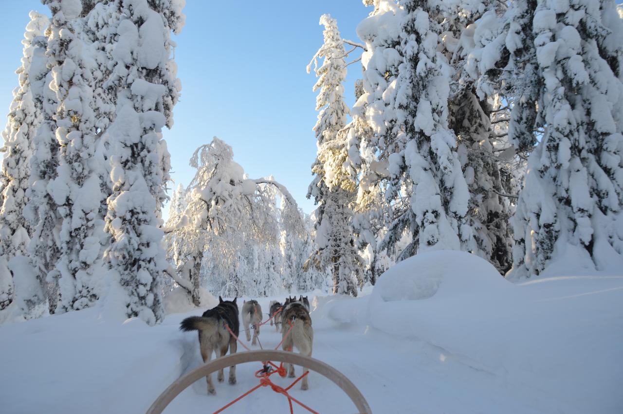 Hotel Arctic Zone Ruka Dış mekan fotoğraf